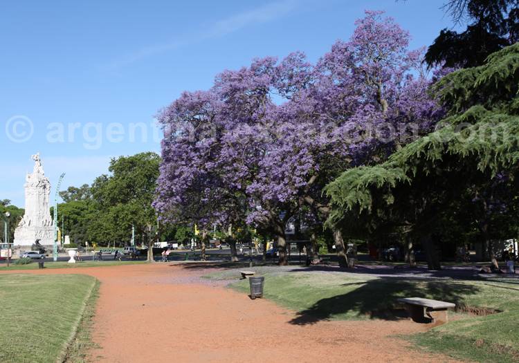 Jacarandas à Buenos Aires Jacarandas à Buenos Aires