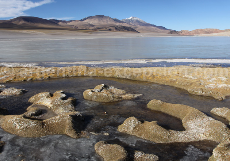 Lagunes altoandinas et puneñas de Catamarca, zone Ramsar Lagunes altoandinas et puneñas de Catamarca, zone Ramsar