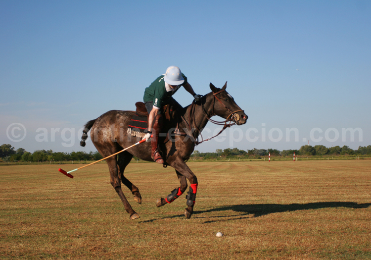 Leçon de polo à Buenos Aires Leçon de polo à Buenos Aires