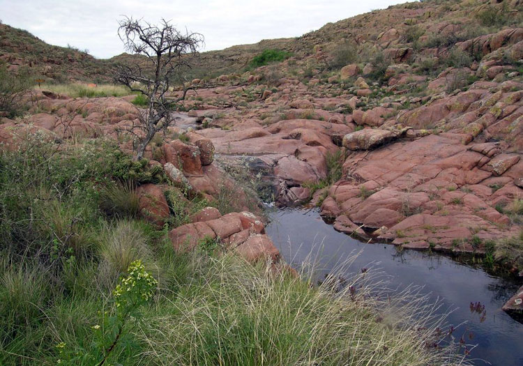 Parc national Lihue Calel. Crédit facebook/Parque Nacional Lihue Calel Parc national Lihue Calel. Crédit facebook/Parque Nacional Lihue Calel