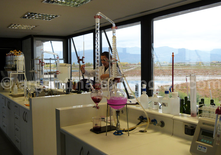 DOC Argentine, cave O'Fournier DOC Argentine, cave O'Fournier