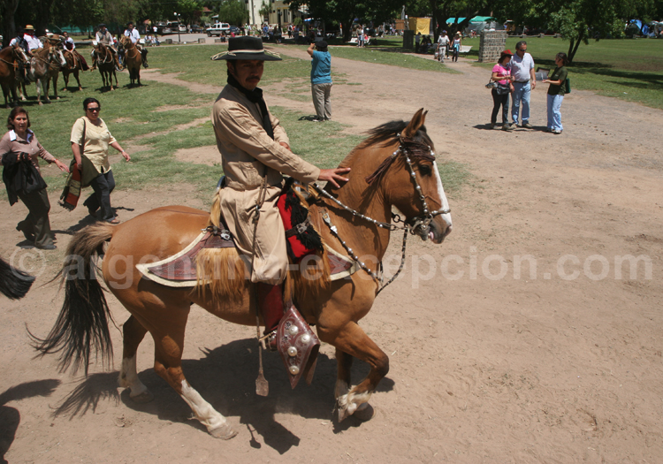 Gaucho et son cheval Gaucho et son cheval