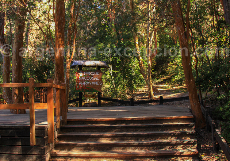 Parc national Los Arrayanes, Villa la Angostura Parc national Los Arrayanes, Villa la Angostura