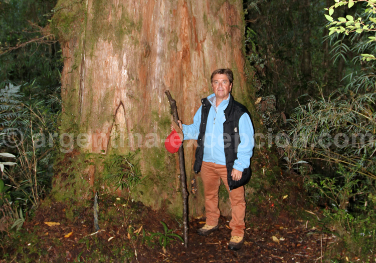 Parc Los Alerces (Chubut) Parc Los Alerces (Chubut)