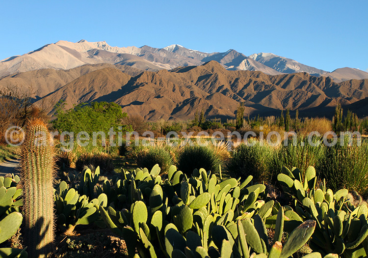 Parc Los Cardones, Salta Parc Los Cardones, Salta