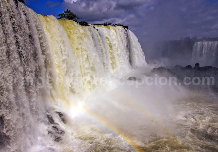 Parc national Iguazu Parc national Iguazu