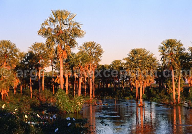 Parc national Mburucuya Parc national Mburucuya