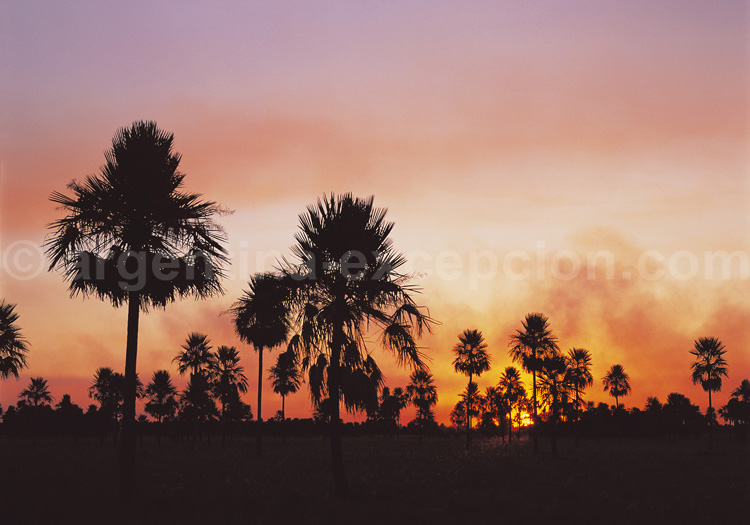 Parc national el Palmar Parc national el Palmar
