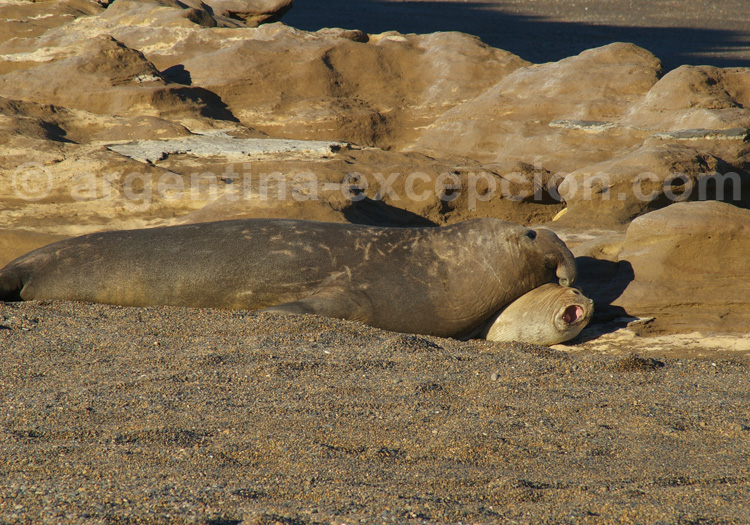 Parc inter juridictionnel Marin Makenke parc marin makenke