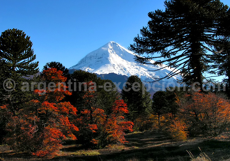 Parc national Lanin Parc national Lanin