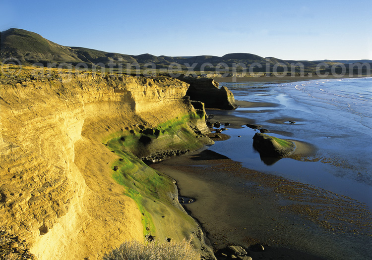 Parc national Monte León parc national monte leon