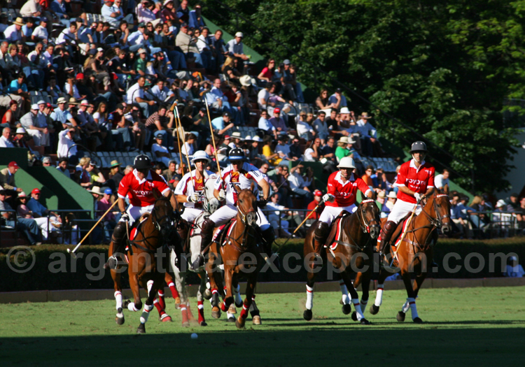 Match de polo argentin Match de polo argentin