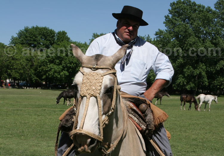 Cabezada gaucha Cabezada gaucha