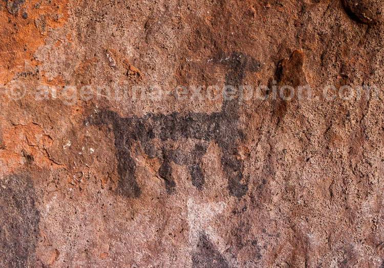 Grotte Inca, peinture rupestre, lama, jujuy Grotte Inca, peinture rupestre, lama, jujuy