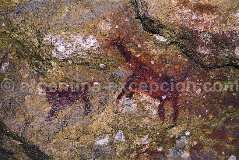 Peintures rupestres estancia La Maria Peintures rupestres estancia La Maria