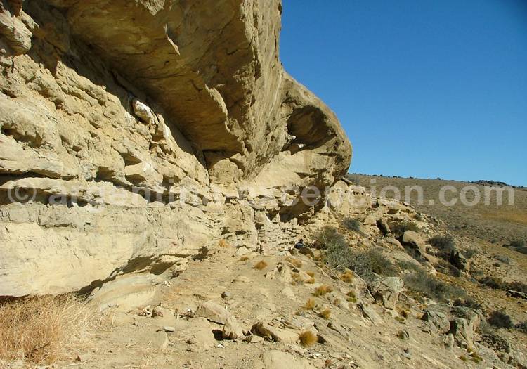 Peintures rupestres du rio Shehuen Peintures rupestres du rio Shehuen