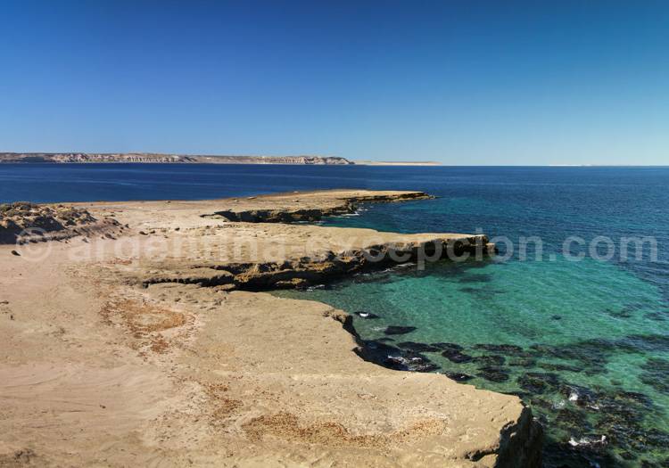 Péninsule Valdès, Patagonie Péninsule Valdès, Patagonie
