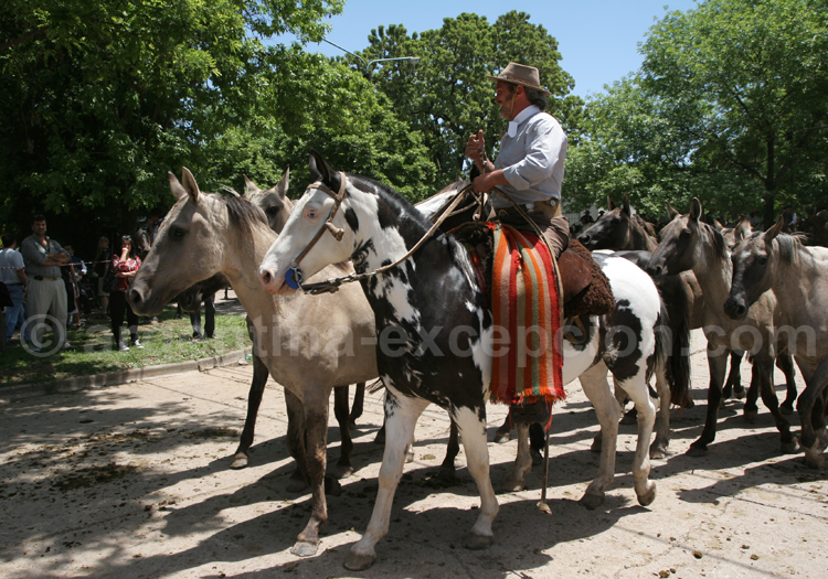 Gaucho argentin Gaucho argentin