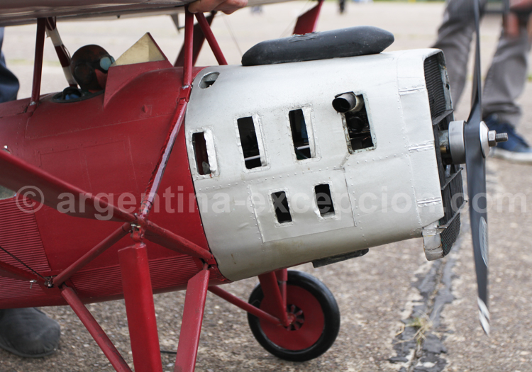 Reproduction du laté 28 Reproduction du laté 28