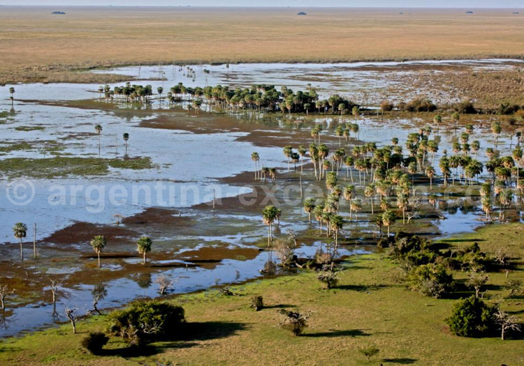 Réserve provinciale Esteros del Ibera Réserve provinciale Esteros del Ibera