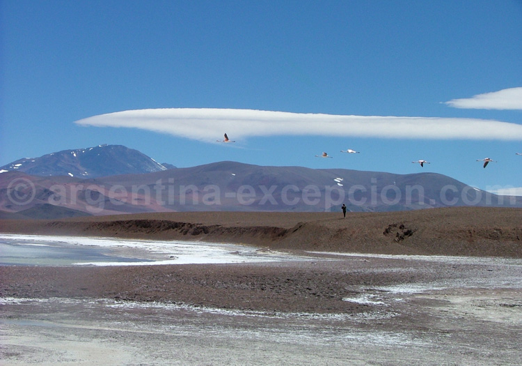 Réserve provinciale Laguna Brava, zone Ramsar Réserve provinciale Laguna Brava, zone Ramsar
