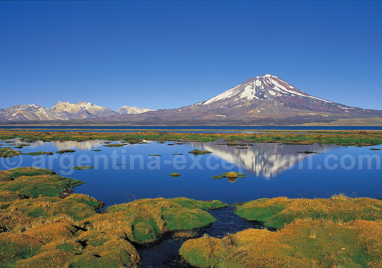Réserve provinciale Laguna Diamante Réserve provinciale Laguna Diamante