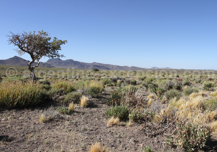 Réserve de biosphère Nacuñan Réserve de biosphère Nacuñan