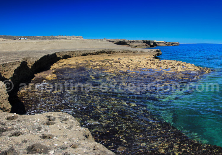 Réserve naturelle péninsule Valdés Réserve naturelle péninsule Valdés