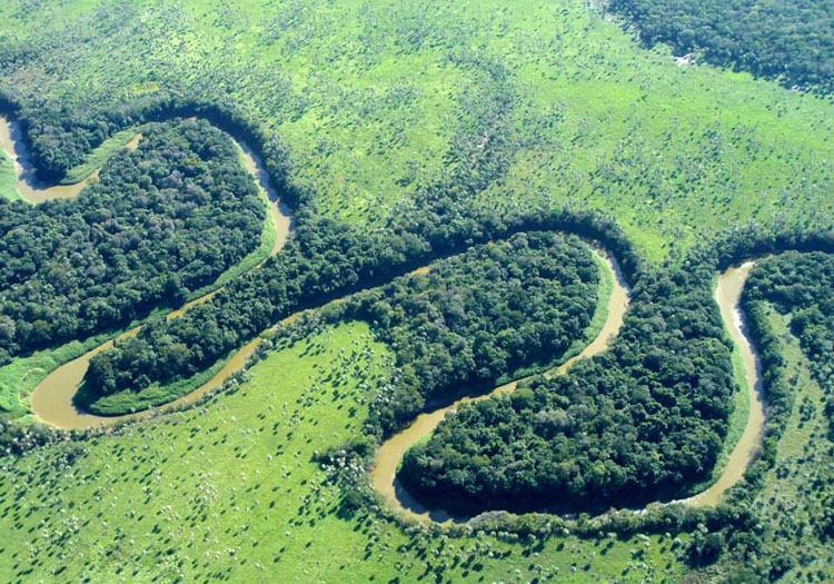 Parc national Rio Pilcomayo Crédit Facebook/ Parque Nacional Rio Pilcomayo Parc national Rio Pilcomayo Crédit Facebook/ Parque Nacional Rio Pilcomayo