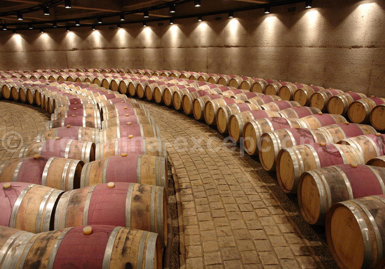 Production viticole argentine Production viticole argentine