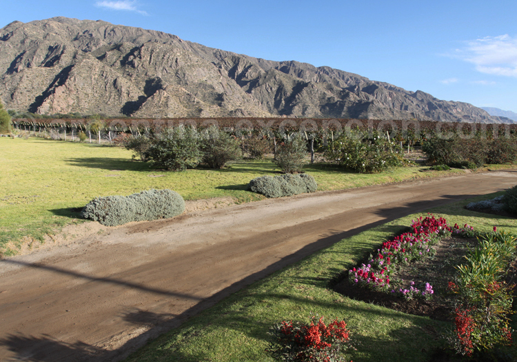Route des vins, Argentine Route des vins, Argentine