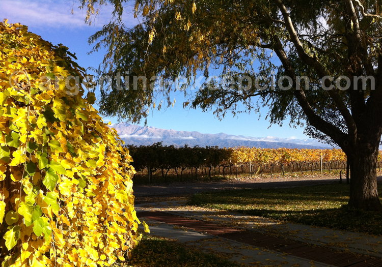 Route des vins, région Mendoza Route des vins, région Mendoza