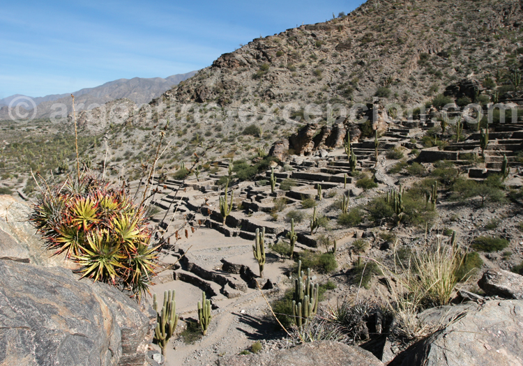 Ruines de Quilmes, Argentine Ruines de Quilmes, Argentine