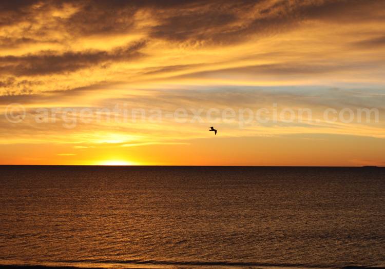 Lever de soleil en Patagonie Lever de soleil en Patagonie