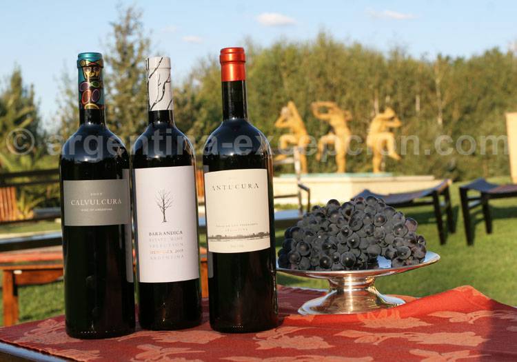 Vins de la bodega Casa Antucura Vins de la bodega Casa Antucura