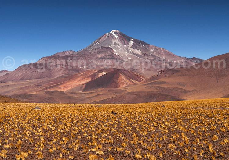 Volcan Llullaillaco, province de Salta Volcan Llullaillaco, province de Salta