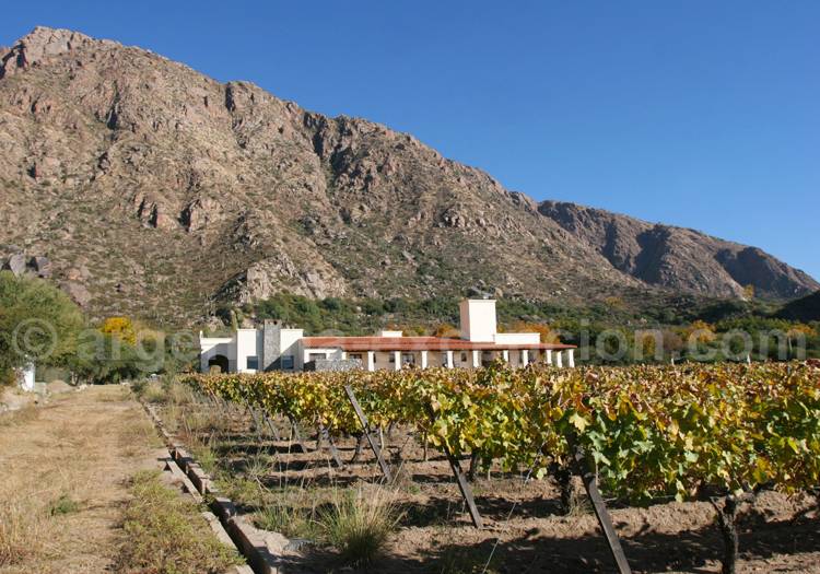 Route des vins, Cafayate, Wine Resort Route des vins, Cafayate, Wine Resort
