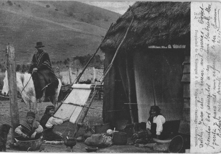 Améridiens araucans Améridiens araucans