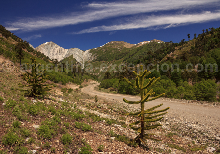 Cerro Impodi, Route n°13 Cerro Impodi, Route n°13