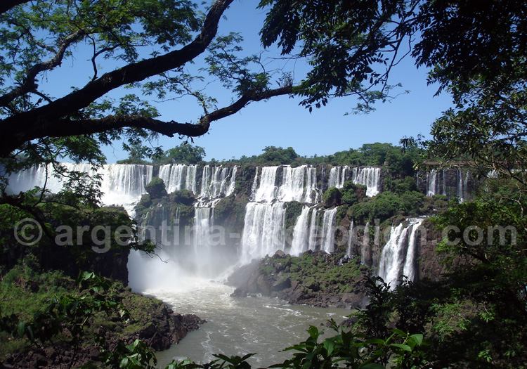 Visite du parc national Iguaçu avec une pleine lune Visite du parc national Iguaçu avec une pleine lune