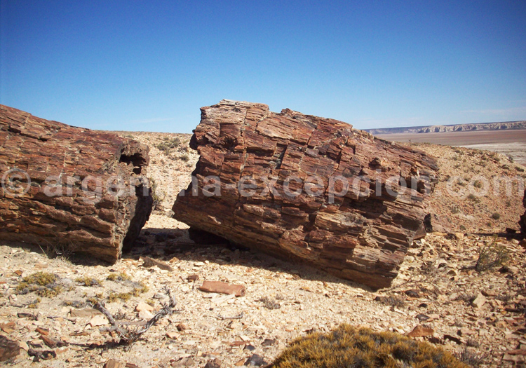 Jaramillo, Santa Cruz Jaramillo, Santa Cruz