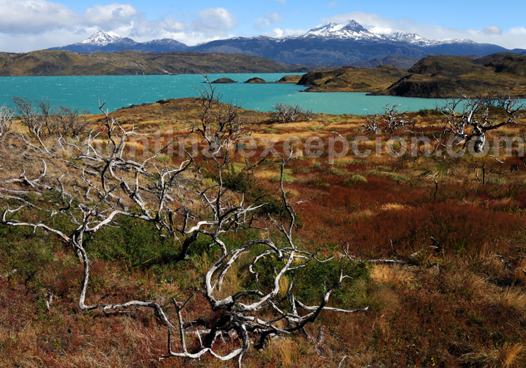 Lac Pehoe, Paine Lac Pehoe, Paine