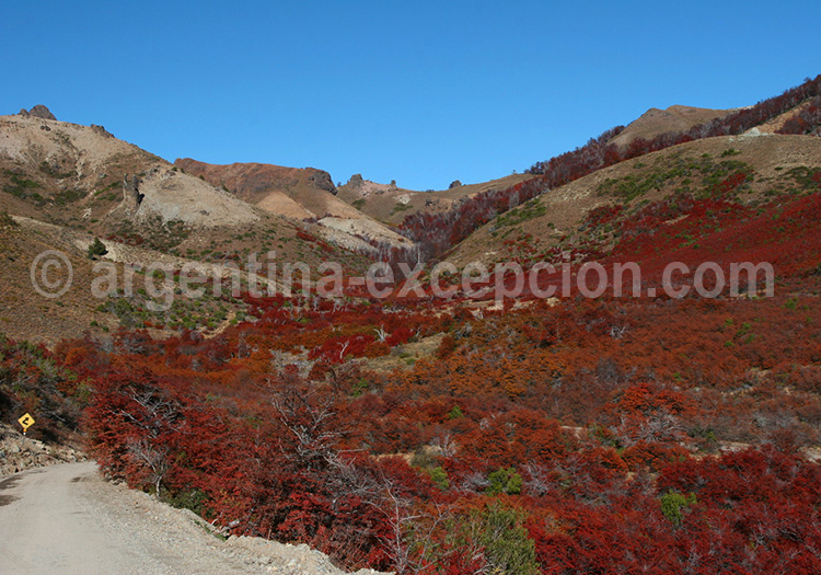 Paso de Cordoba, Patagonie Paso de Cordoba, Patagonie