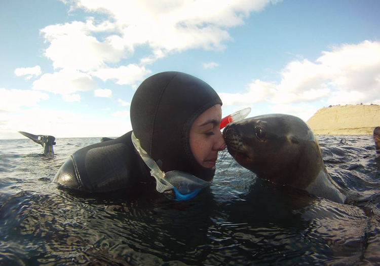 Rencontre et émotion avec un lion marin Rencontre et émotion avec un lion marin