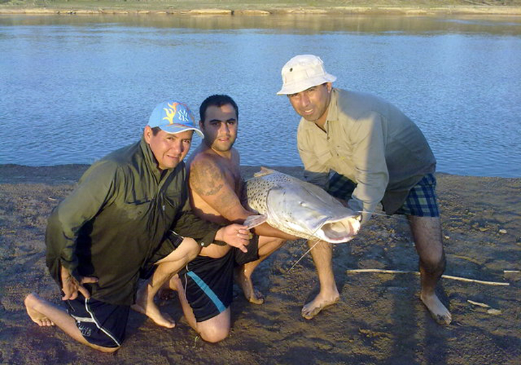 Surubí, rio Bermejo, Salta. CC Wikimedia Surubí, rio Bermejo, Salta. CC Wikimedia