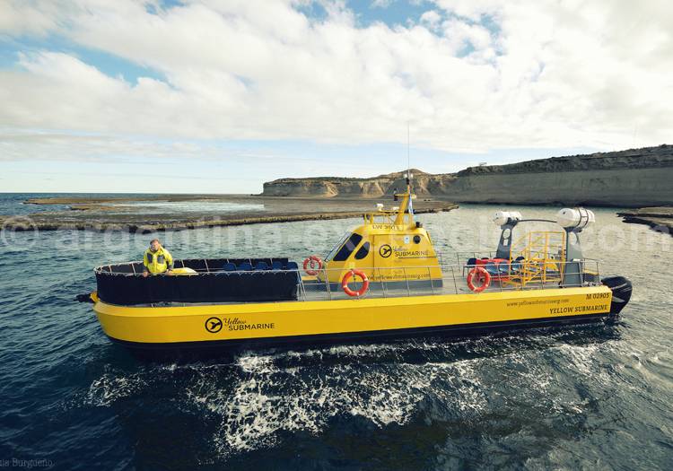 Excursion nautique, péninsule Valdés Excursion nautique péninsule Valdés