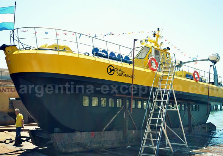 Excursion nautique baleine en sous-marin Excursion nautique baleine en sous-marin