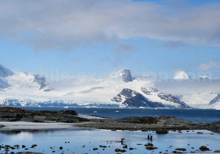 Île Petermann, Antarctique @ Caroline Modolo Île Petermann, Antarctique @ Caroline Modolo