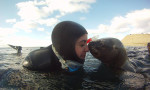 Buceo con los lobos marinos, Peninsula Valdès