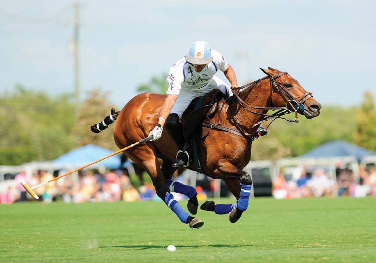 Adolfo Cambiaso en action Adolfo Cambiaso, meilleur poliste de tous les temps